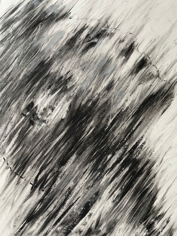 Forwards- Charcoal on Paper - A3